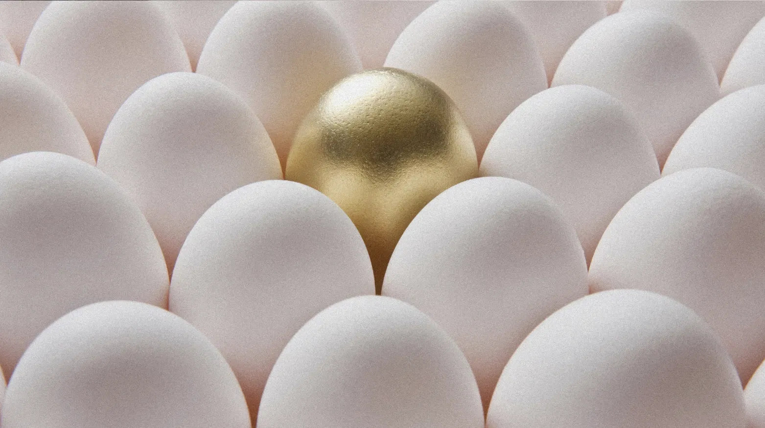 Alles, was du über deine Eizellen wissen musst - Hormonic