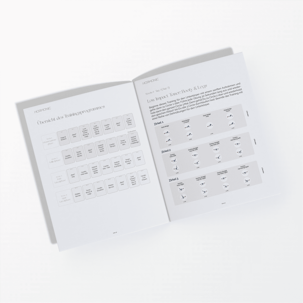 Cycle Sync Workout Guide - Hormonic - E-Book