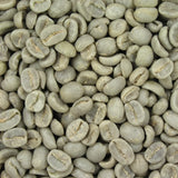 Green Coffee Extrakt
