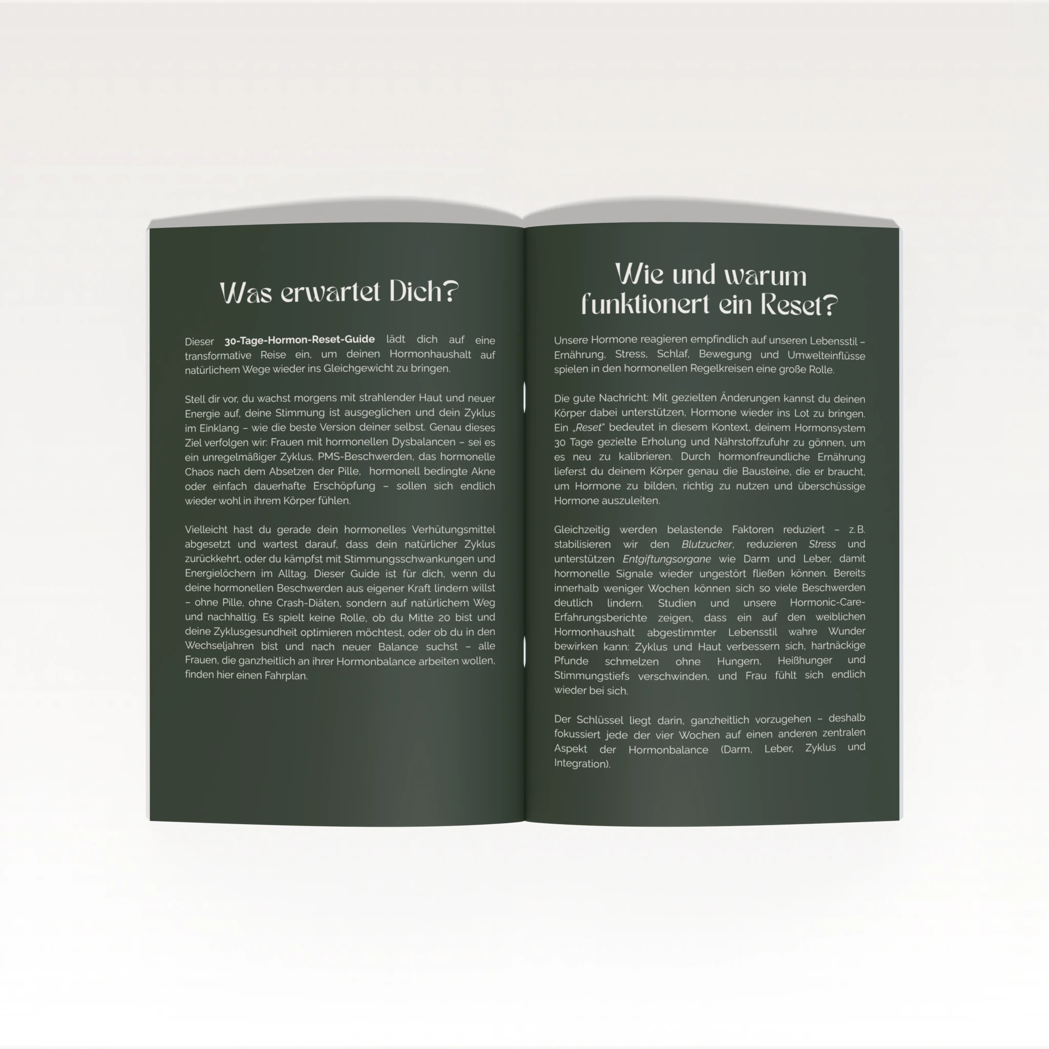 Hormonic Starter Guide - Hormonic - E-Book