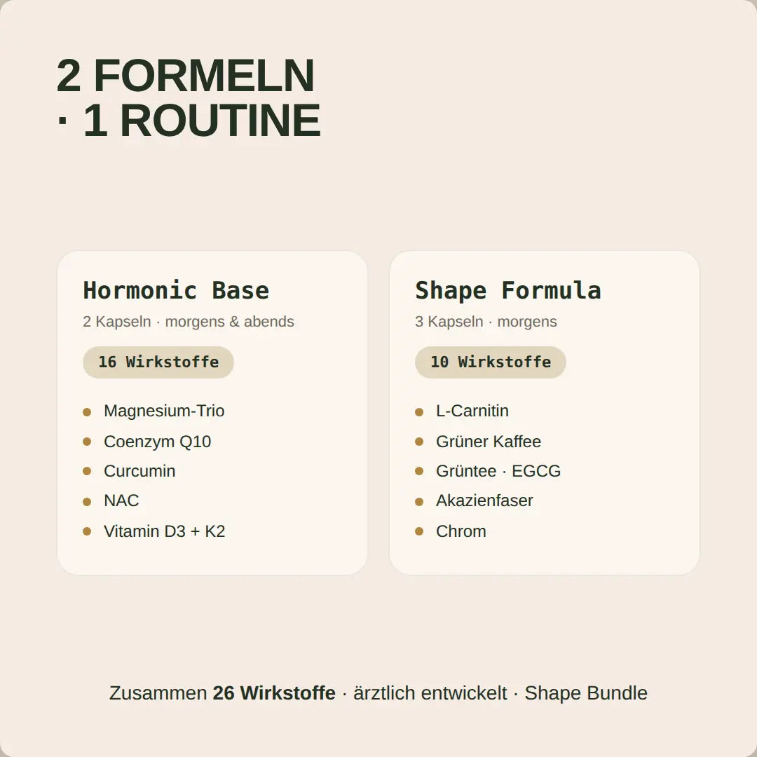 Shape Bundle