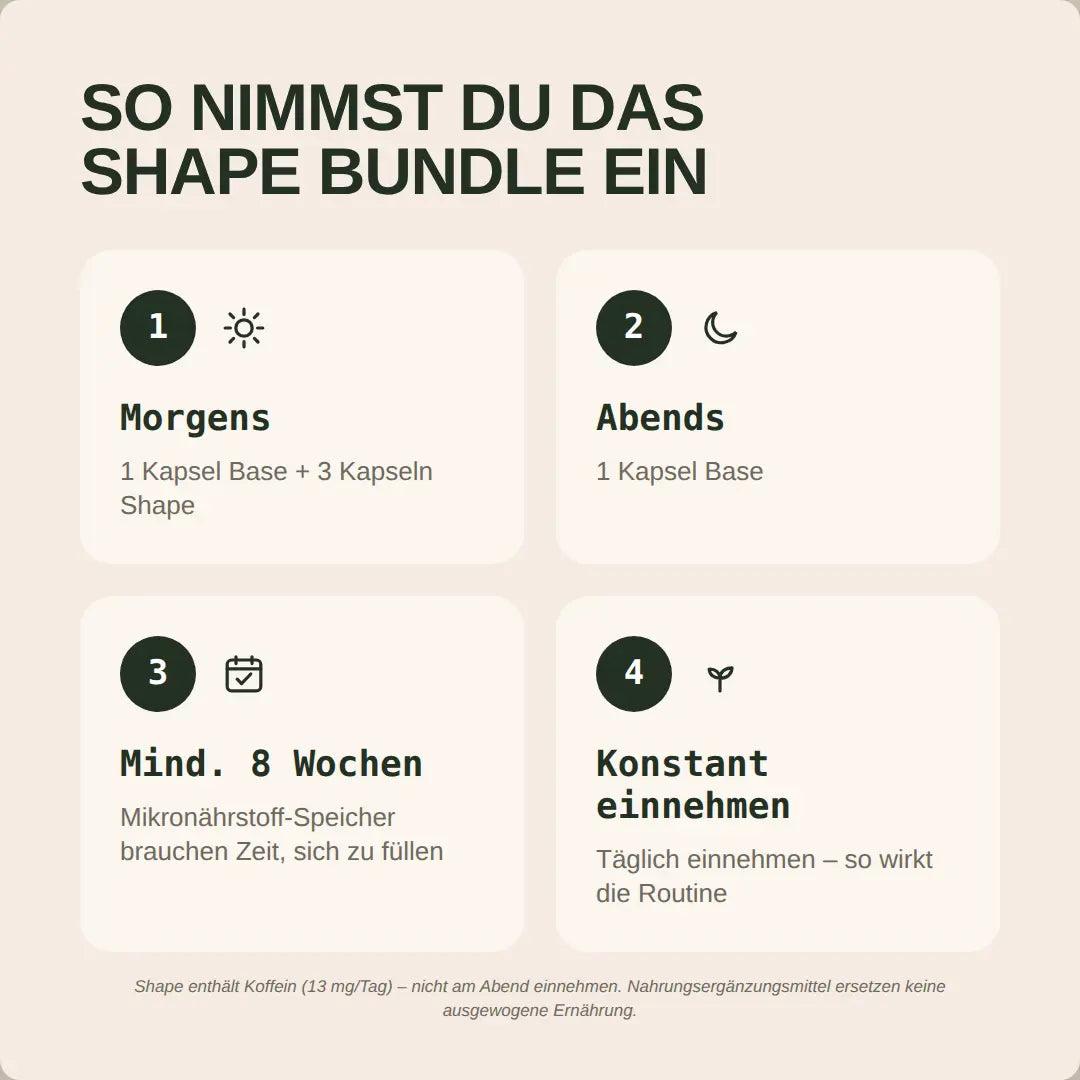 Shape Bundle
