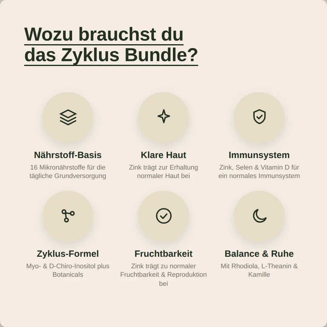Zyklus Bundle