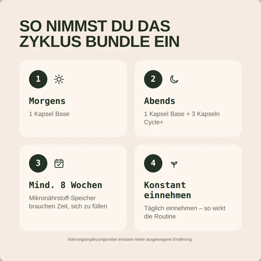 Zyklus Bundle