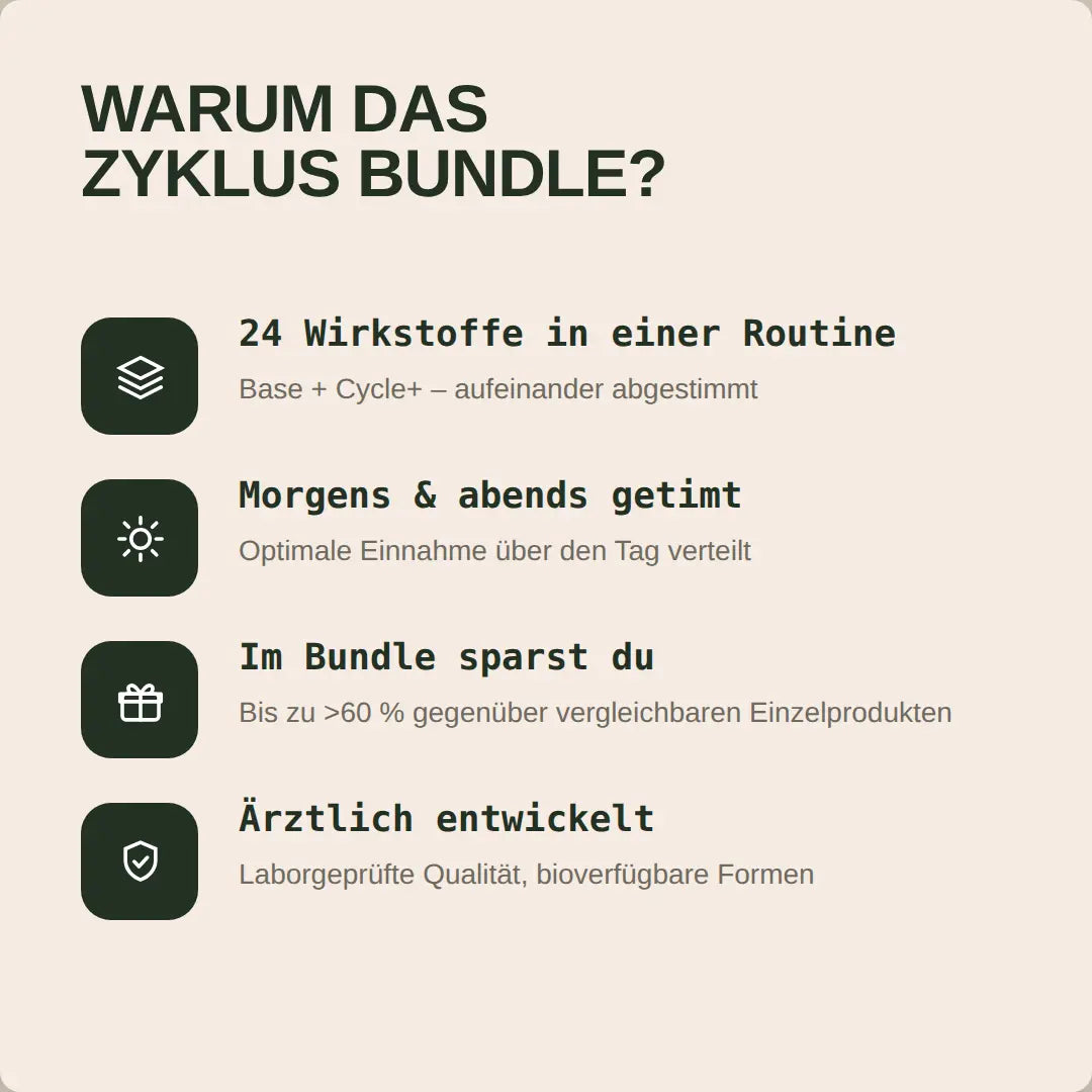 Zyklus Bundle