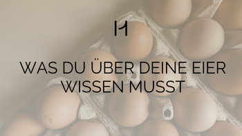 Eier als Symbolbild für die Eizellreserve und den AMH-Wert bei Frauen