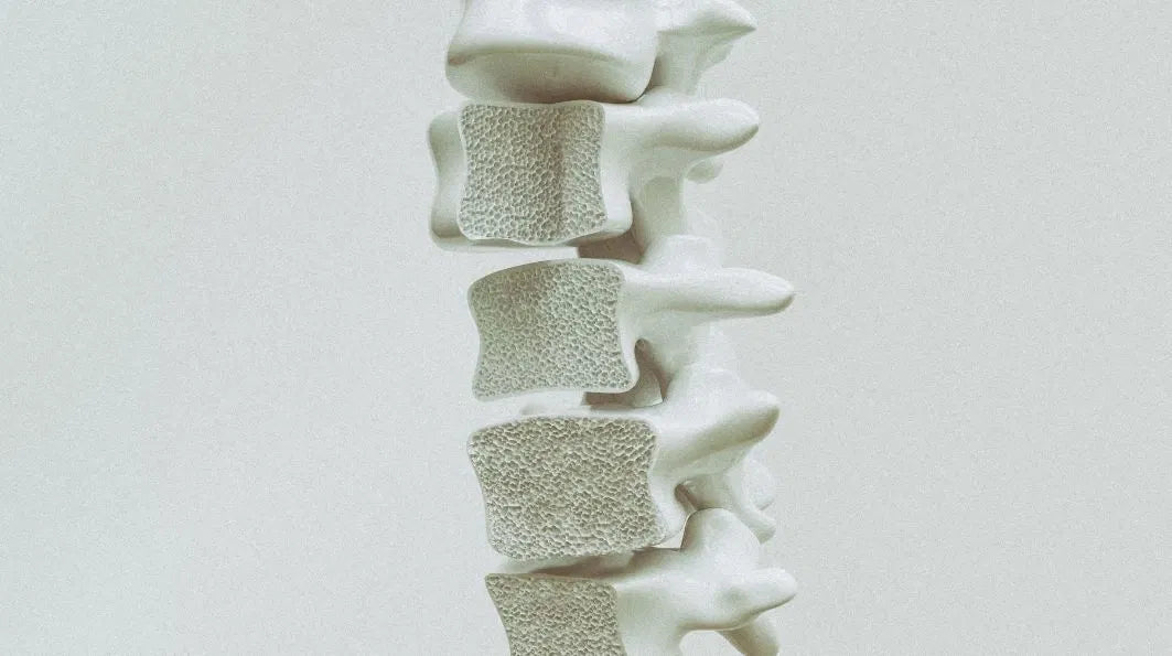 Osteoporose: Symptome, Ursachen und was im Körper wirklich passiert - Hormonic