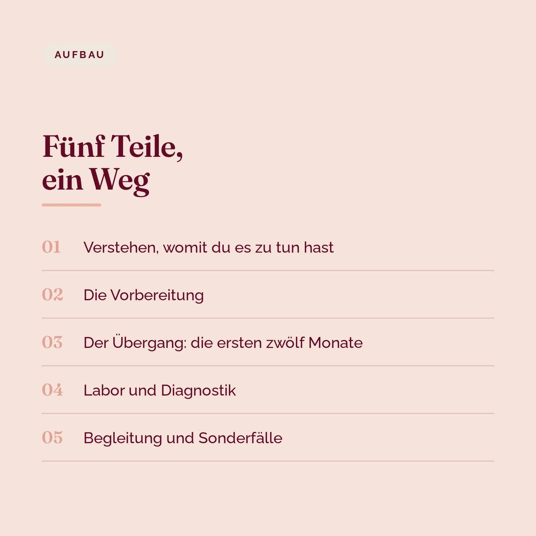 Inhalt des Guides in fünf Teilen: Grundlagen, Vorbereitung, die ersten zwölf Monate, Labor und Sonderfälle