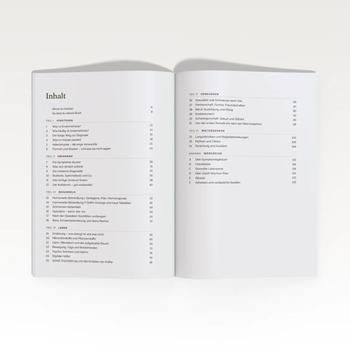 Die Endometriose Bibel