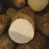 Wild Yam Extrakt