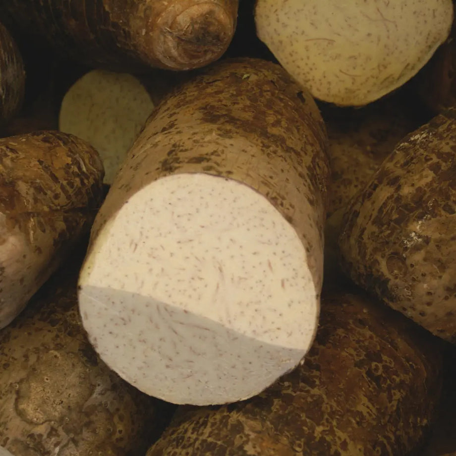 Wild Yam Extrakt