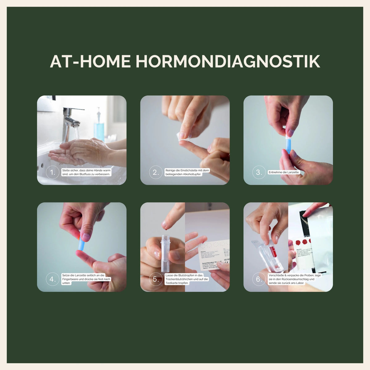 Hormondiagnostik Kit - Hormonic - Diagnostik