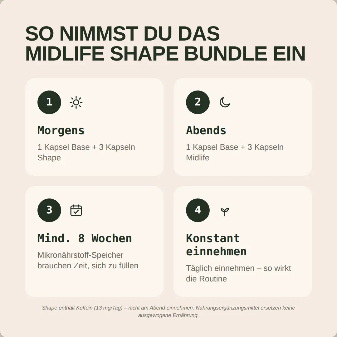 Midlife Shape Bundle